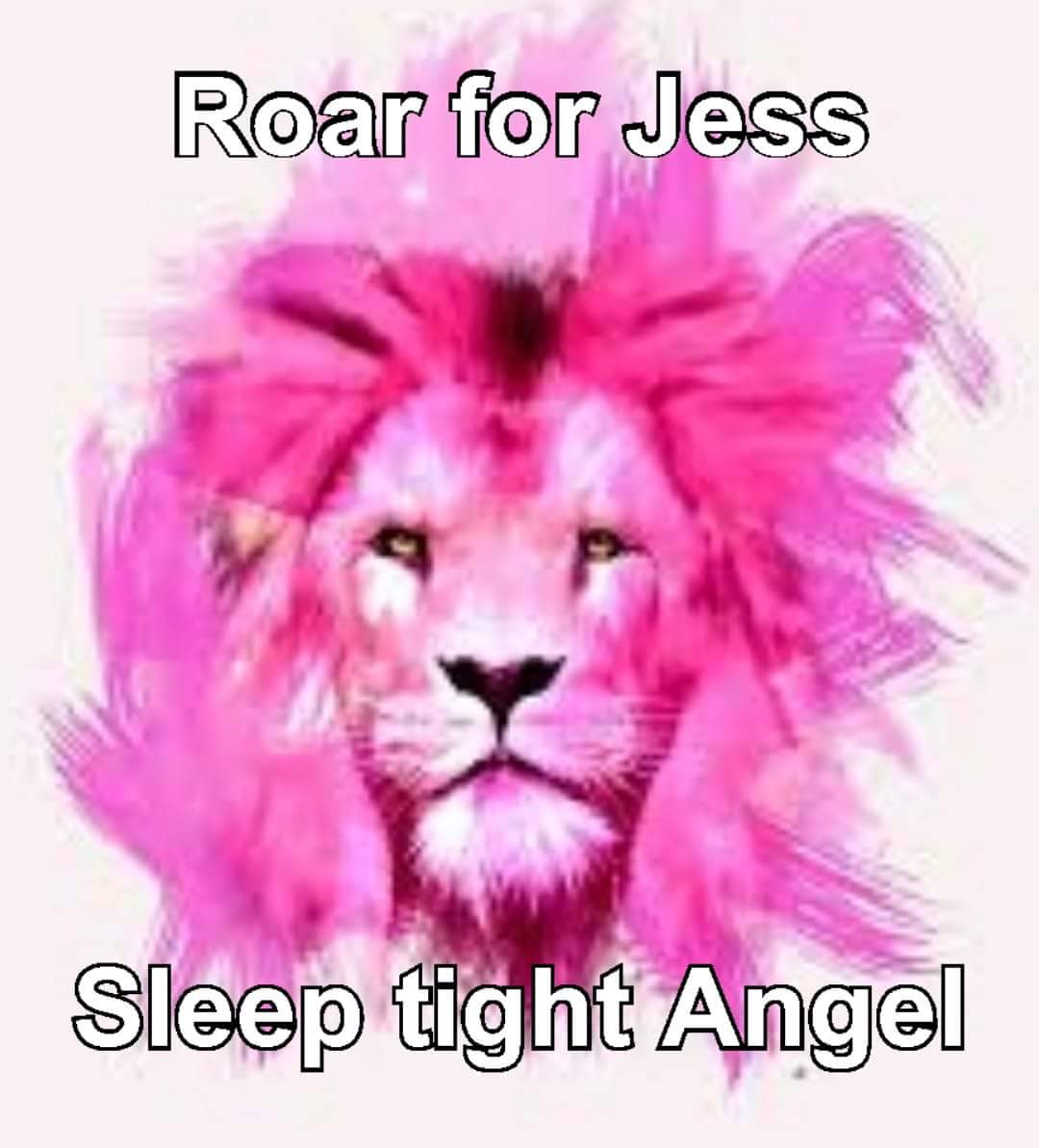 karenzippy's tweet photo. Today, why don't you love a little deeper, laugh a little louder, hold the ones you love a little tighter. Because tomorrow is NEVER promised
#roarforjess #sweetdreams #princessjess https://t.co/zMRZVQ9d3b