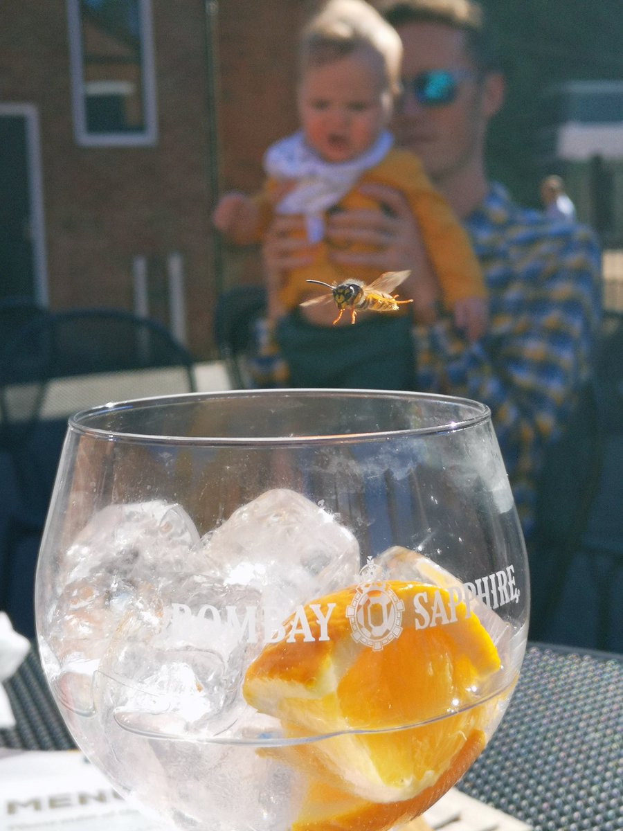 Batk0's tweet image. A very ginteresting day at Bombay Sapphire distillery yesterday! #bombaydistillery @homeofbombay