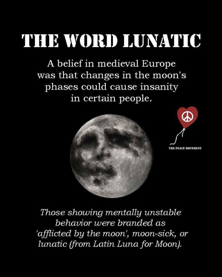 thepeacemovemnt's tweet photo. So there you have it. Next time someone says ur a crank u can blame the moon. 🌓 
If it’s gravitational pull creates the tides in our oceans. It is a wonder what it can do to our hormones especially all of you children of the cosmos 🌟✌🏼❤️ https://t.co/AFxJN2OzMw