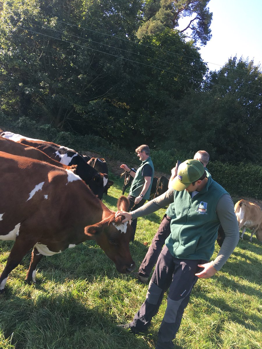 WillwritingYogi's tweet photo. Understanding more about #agriculture Rural Week #rxw21 @BictonCollege with #HighGrounders #lifebeyondthemilitaryoutdoors #serviceleaver #veterans #highgroundcharity @HighGroundBoss
#RuralWeek https://t.co/B1E6bB5B87
