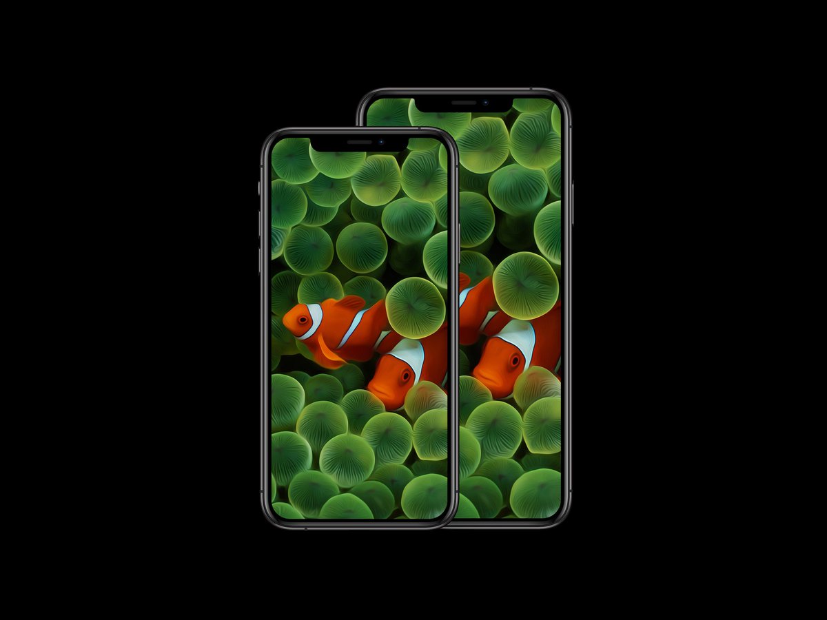 Iphone Clownfish Wallpaper | Wide Wallpapers