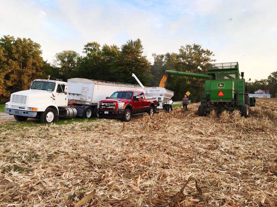 greatheartseed's tweet photo. 🍂 Farmers harvest more than crops. They harvest months of hard work, early mornings and late nights. Harvest is when their dedication blossoms and blooms. 🍂❤️ #greatheartseed https://t.co/uV0A1UXgoU