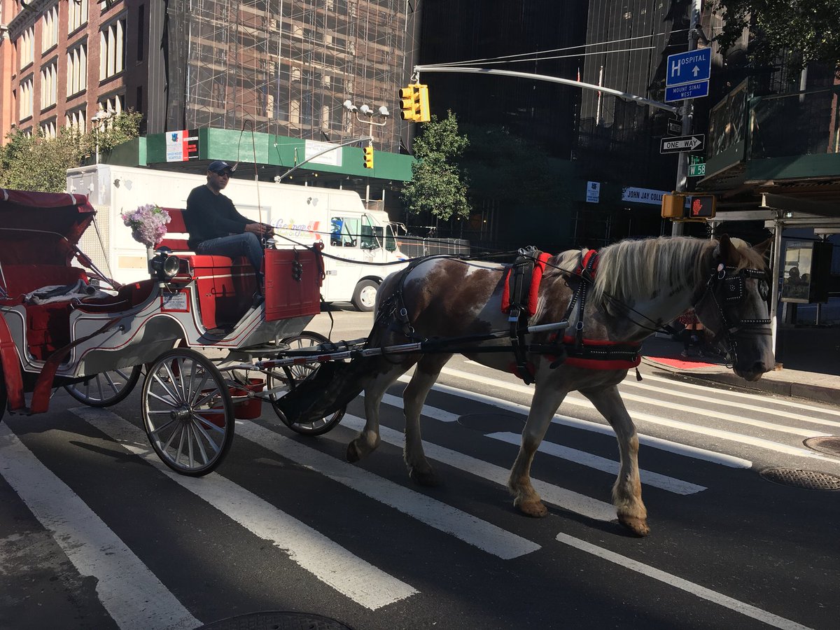 GothamIphone's tweet photo. #horse ! #iwantone #centralpark is a pretty busy place in the morning. Sheesh! Happy #thursday folks!!
#wecometoyou #wekeepyoumoving #gothamiphone #newyork #manhattan #brooklyn #queens #bqe #nyc #iphone #ipad #galaxy #iphone7 #iphonescreen #brokeniphone #apple https://t.co/CUjiYt4cNH