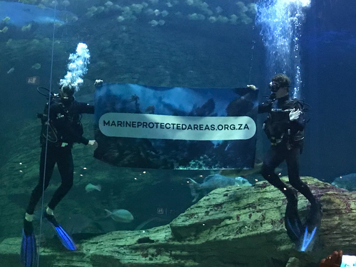 WWFSASSI's tweet photo. Yesterday SASSI joined an #Ocean #heritage celebration at the Two Oceans Aquarium which included the launch of a new #MPA (Marine Protected Area) exhibit! Dr Kerry Sink and other researchers were present sharing their insights on #biodiversity of coastal areas. #MzanSEA https://t.co/b0QLkzRVeb