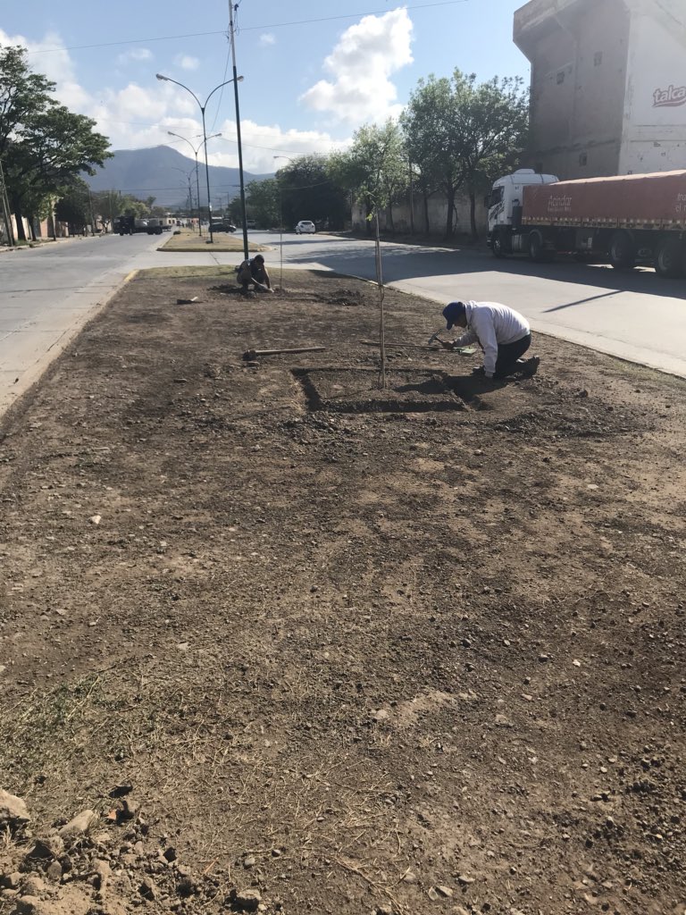 irenesolerc's tweet photo. Plantando #tipas en Avenida Venezuela Villa Mitre #Salta 🌳🌳🌳c @SaenzGestion @gastonggalindez https://t.co/59Z0yLcbl3