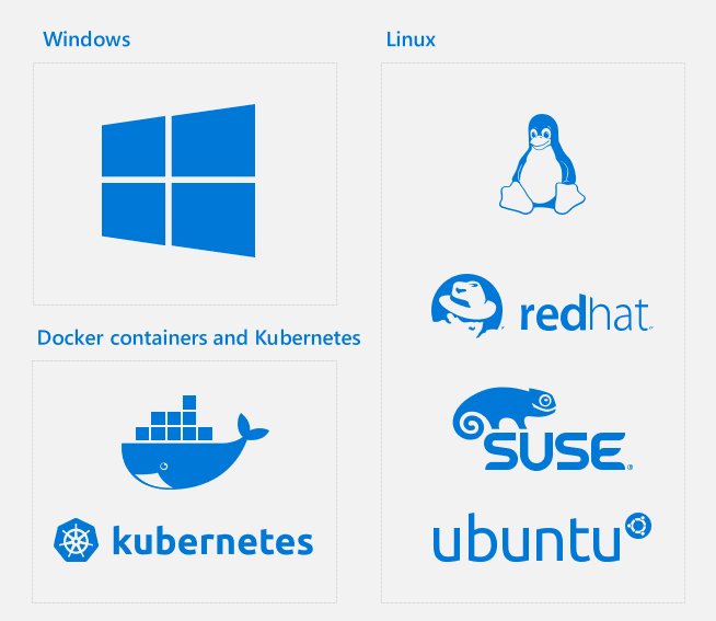 newsignature's tweet image. #SQLServer 2019: Celebrating 25 years of #SQLServerDatabase Engine and the path forward: okt.to/RnIN9d #AzureSQL