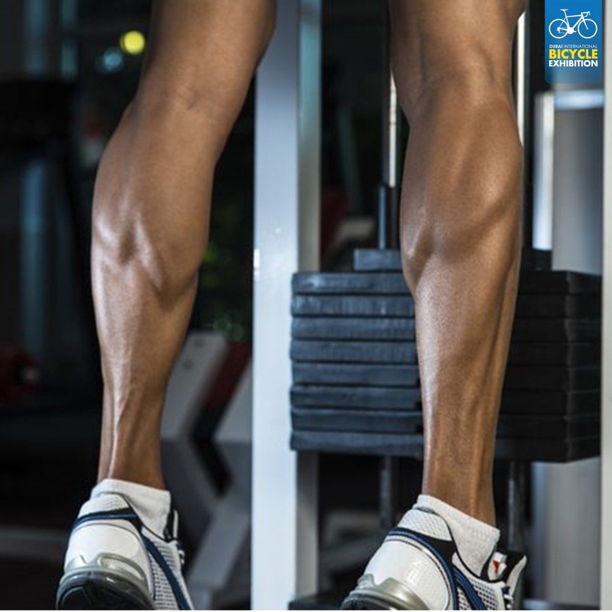 Only a cyclist knows the pain of building calf muscles

هواة ركوب الدراجات هم فقط من يعرفوا ألم عضلات البطة

#DubaiInternationalBicycleExhibition #mydubai #UAE #dubai #cycling #roadbike #MTB #Kuwait #Bahrain #Oman #SaudiArabia
#الامارات #دبي #أبوظبي #العين #الشارقة #رأس_الخيمة