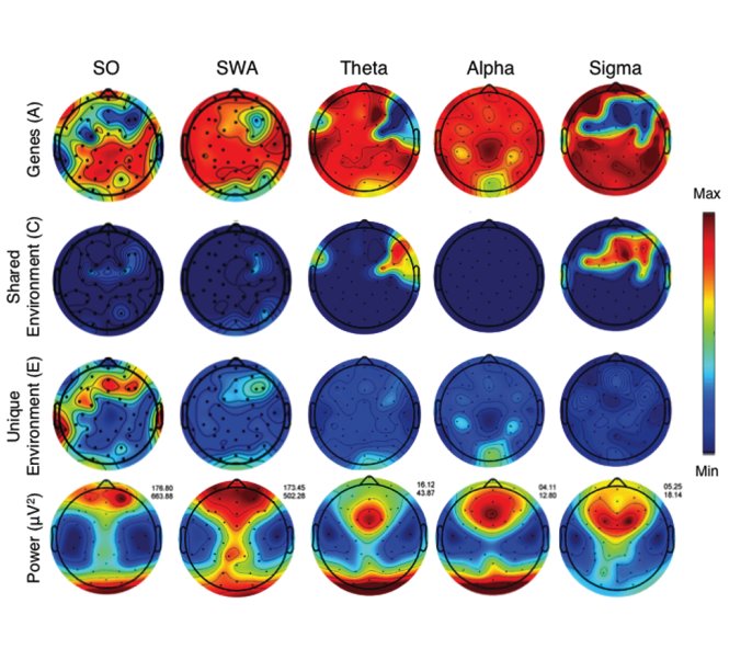 view color atlas of oculoplastic surgery