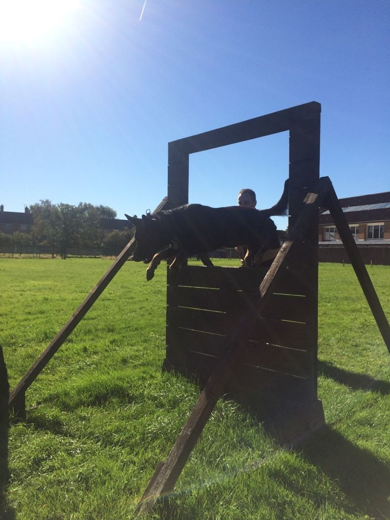 MerPolDogs's tweet image. Our new handlers are coming towards the end of week two on their initial training course.

TPD’s Gizmo, Xolo and Kelo have been enjoying some time in the sun today and perfecting their agility.