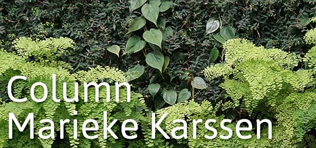 Het klimaat wordt steeds grilliger. Alleen groen kan de steden nog redden vindt <a href="/mariekekarssen/">marieke karssen</a> 
Lees haar laatste column voor Into Green
intogreen.nl/alleen-groen-k…