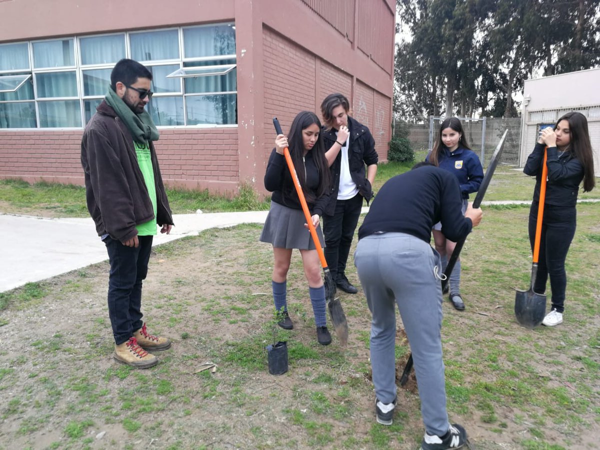 InjuvValparaiso's tweet photo. 🌱🌿El equipo de INJUV Valparaíso está en el Liceo Politécnico de Concón para ejecutar una nueva jornada de Arborización junto a CONAF y los estudiantes, plantando especies nativas nacionales en un rincón del establecimiento en el marco del programa "Un Chileno, un árbol"🌎🌲 https://t.co/0dL0SaD1Oe