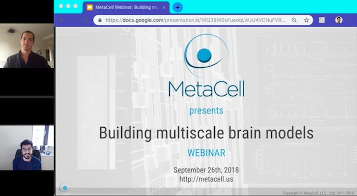 MetaCell's tweet photo. Thanks everyone who attended our webinar yesterday! You can now watch the recording here: https://t.co/WBdQLi42U1 #webinar #neuroscience #brain #NetPyNE #NEURON https://t.co/VoZWvl4ZYt