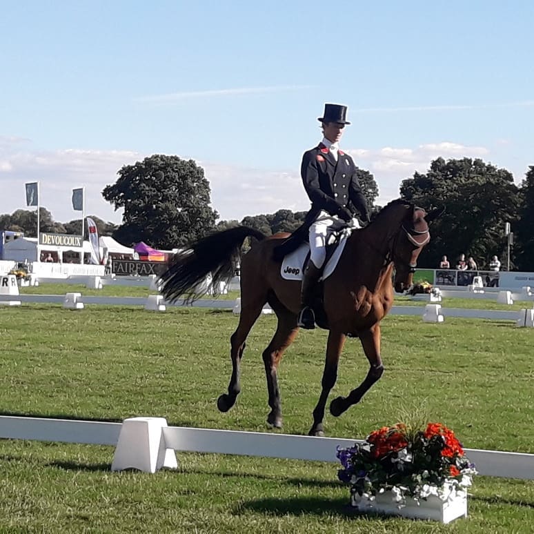 beddownbedding's tweet photo. Another lovely dressage display in the #CCI2* by Fox-Pitt at the @bedeevents #OsbertonHorseTrials #officialbeddingsponsors #BritishEventing #Dressageday #younghorsechampionships #beddownbedding #Excel #premiumbedding #betterforyouandyourhorse #loveyourhorse @lcfplc https://t.co/5LfTuoXQup