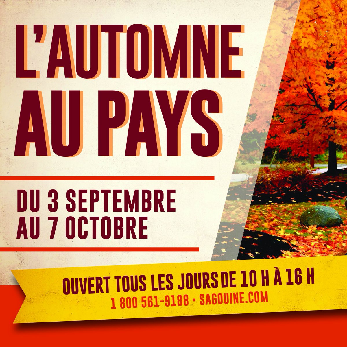 sagouine's tweet photo. Nous sommes toujours ouverts pour l'automne! #sagouine https://t.co/LWoUV7ts1o