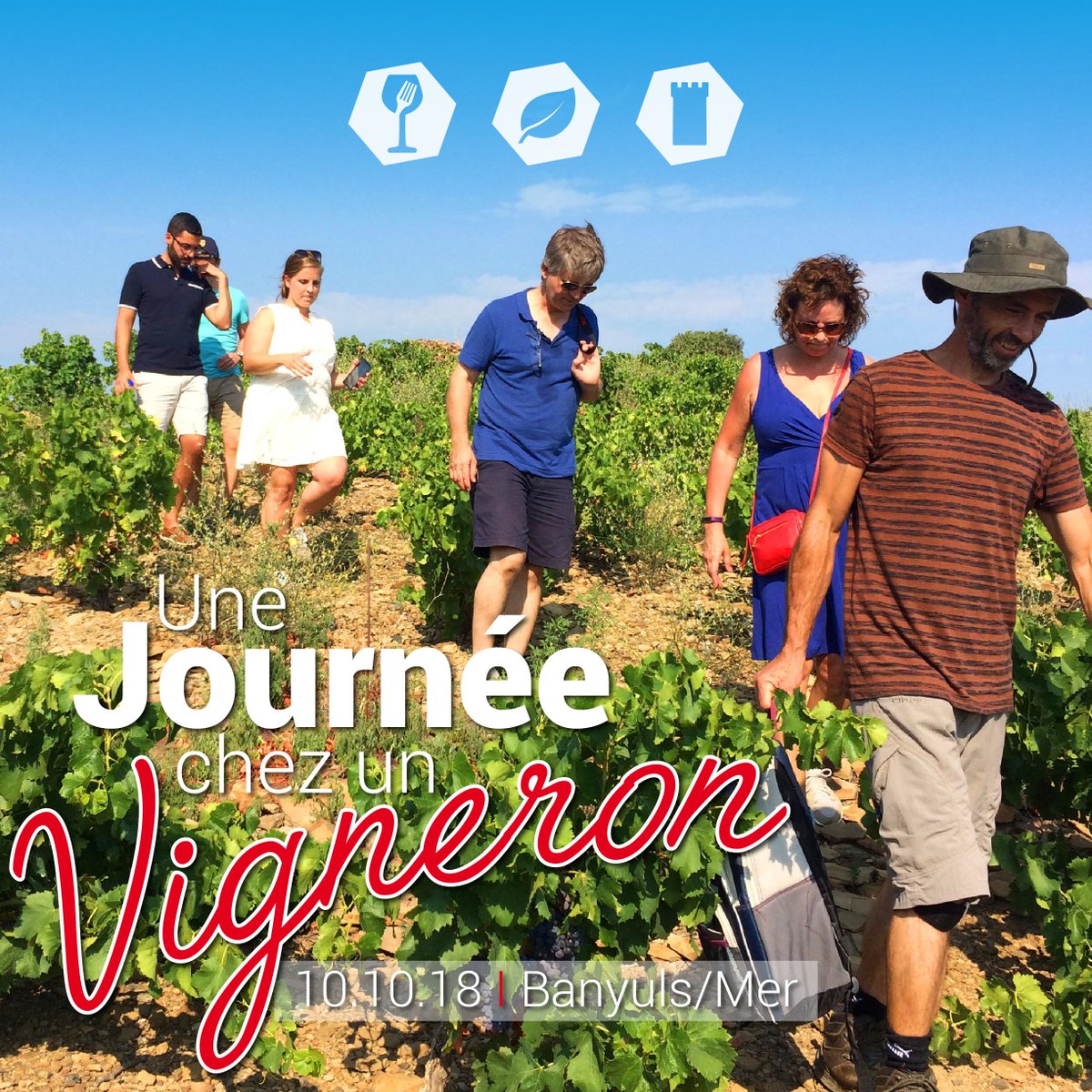 hello_terroir's tweet photo. // Fête des Vendanges @Banyulssurmer //
 UNE JOURNÉE CHEZ UN VIGNERON, Découverte du Clos Castell
 => 47€ / pers. 
 Places limitées. Réservez sur https://t.co/ybagyO8GGk ou au 06 51 61 62 49
 #pepitesduterroir #venezvivez #AOPCollioure #AOPBanyuls https://t.co/4sJm3vR2fg