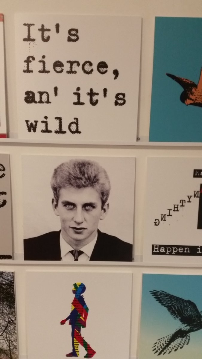 chrisblackmore's tweet photo. Really LOVED the #Untameable exhibition/book @35chapelwalk @Anton_Want @DavidSForrest @PM_studio about Barry Hines' life and work. Beautiful stuff and so much to see 😍👏 Off to read Kes again. Then see the film 😃😢 https://t.co/uWnRiumHYs