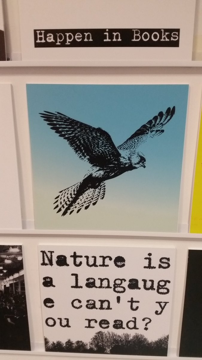 chrisblackmore's tweet photo. Really LOVED the #Untameable exhibition/book @35chapelwalk @Anton_Want @DavidSForrest @PM_studio about Barry Hines' life and work. Beautiful stuff and so much to see 😍👏 Off to read Kes again. Then see the film 😃😢 https://t.co/uWnRiumHYs
