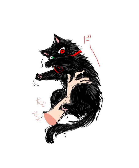1⃣猫くんはボサボサでふかふか 