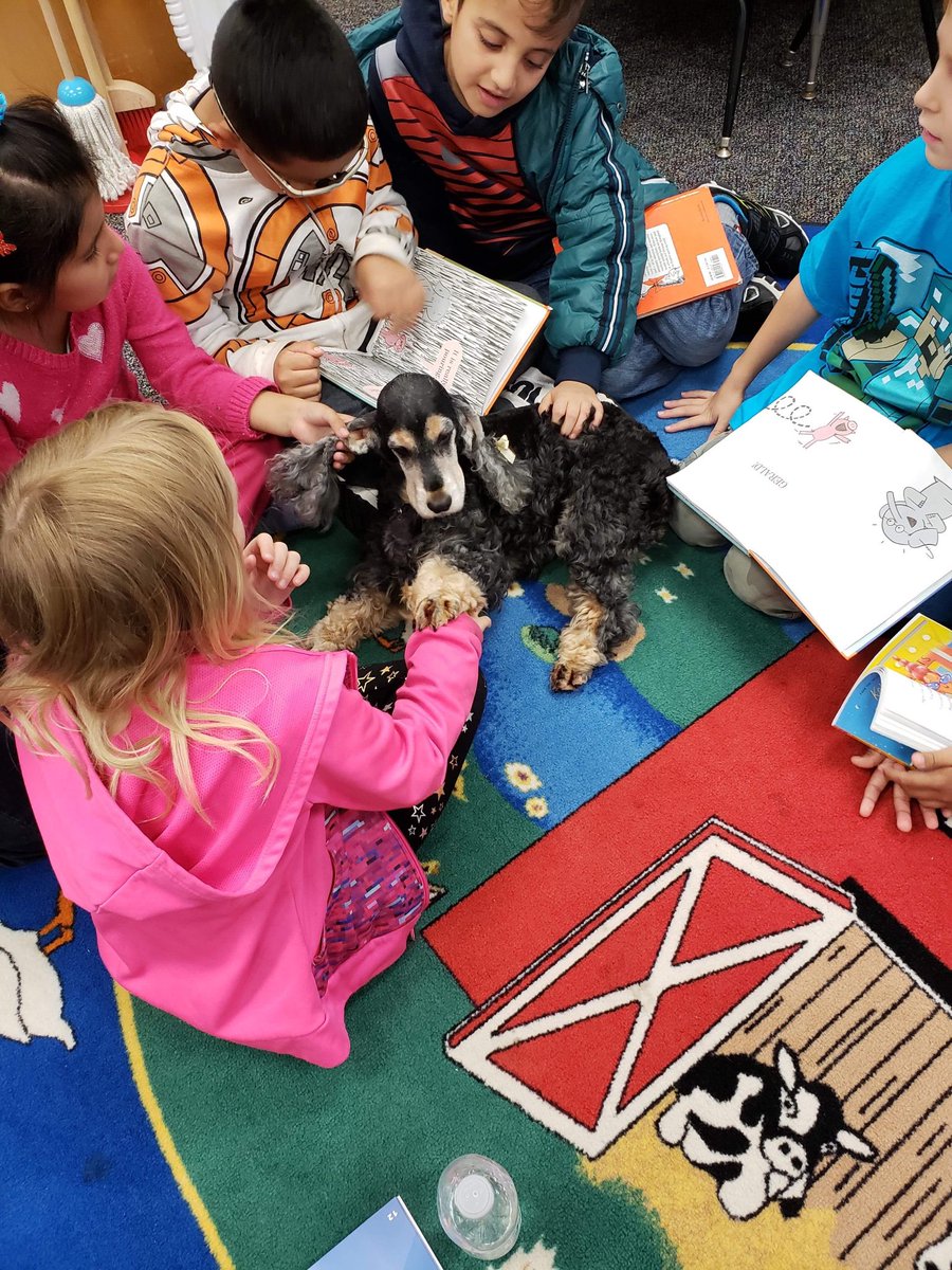FRCMacdonough's tweet photo. Photos from our Tuesday Paws for reading group! https://t.co/CZMRzfYFU0