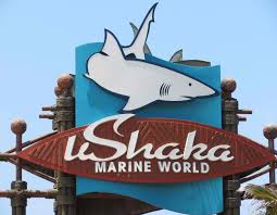 RefiloeShalang's tweet photo. Ushaka Marine World has bought together culters, like no other place in Africa-into a safe, secure and clean environment that resonate the sound of fun, laughter and the spirit of togetherness. Lets have fun at Ushaka.#eng2606 https://t.co/AWrXBXeytg