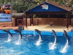 RefiloeShalang's tweet photo. Ushaka Marine World has bought together culters, like no other place in Africa-into a safe, secure and clean environment that resonate the sound of fun, laughter and the spirit of togetherness. Lets have fun at Ushaka.#eng2606 https://t.co/AWrXBXeytg