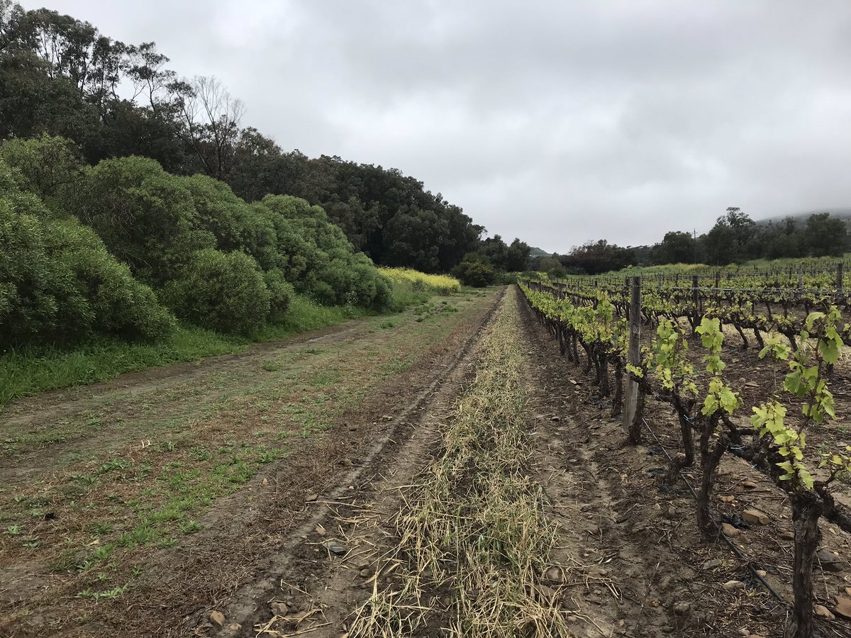 TrailFun tweet media