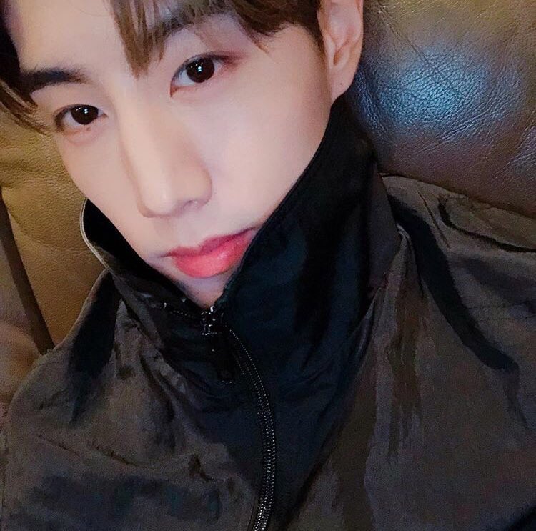 ♡ถั่วงอกของติ่มซำツ tweet media