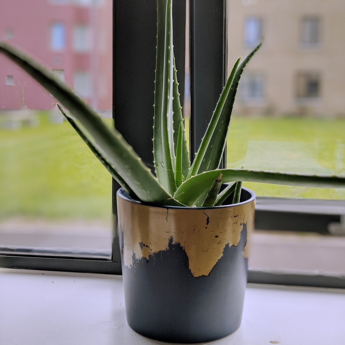 lovehayleybeth's tweet image. Have you met Frankie? 

#shinyhappybloggers #BloggersTribe #bloggerbabesrt #GRLPOWR #BBlogRT #girlgang #glosbloggers #cotswoldbloggers