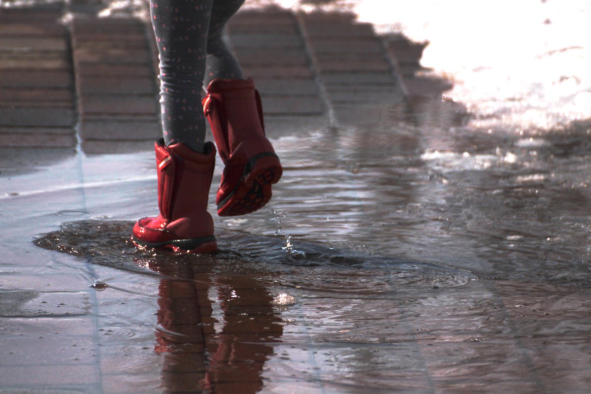 ¿Estás buscando unas botas de agua para tu hijo? Sigue estos consejos para encontrar las botas ideales. 
miszapatos.com/blog/escoge-bo…