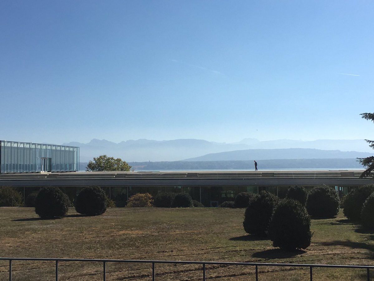 Marcus Tepper tweet media