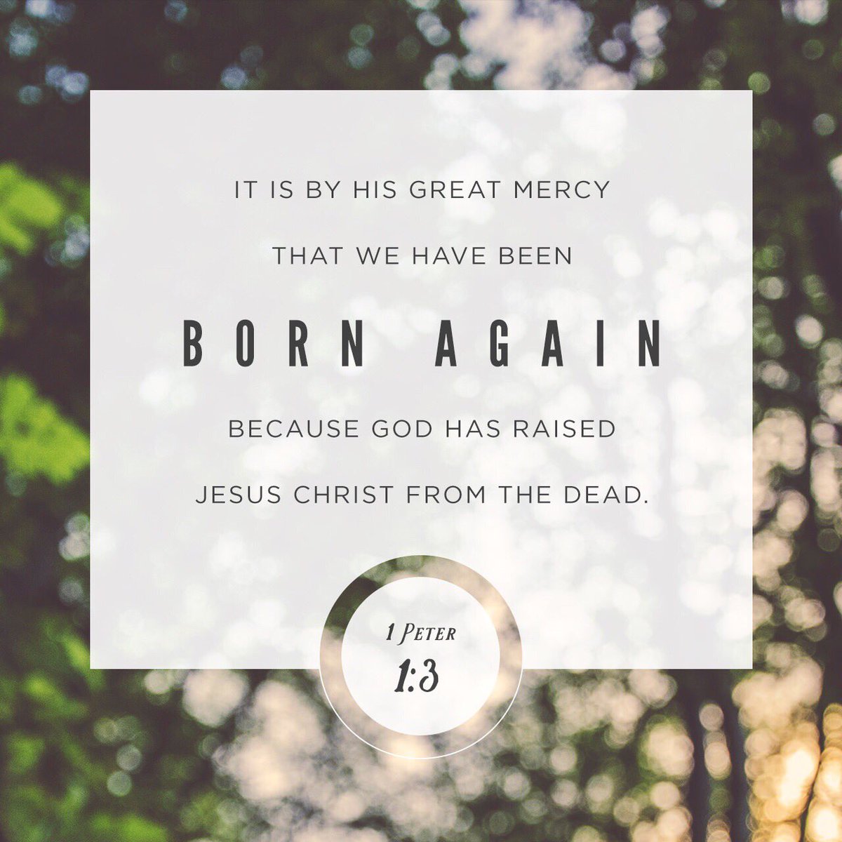 dekeinc's tweet image. “All praise to God, the Father of our Lord Jesus Christ. It is by his great mercy that we have been born again, because God raised Jesus Christ from the dead. Now we live with great expectation,”
1 Peter 1:3 NLT
#othersmatter #jesus #outreach #service #verseoftheday