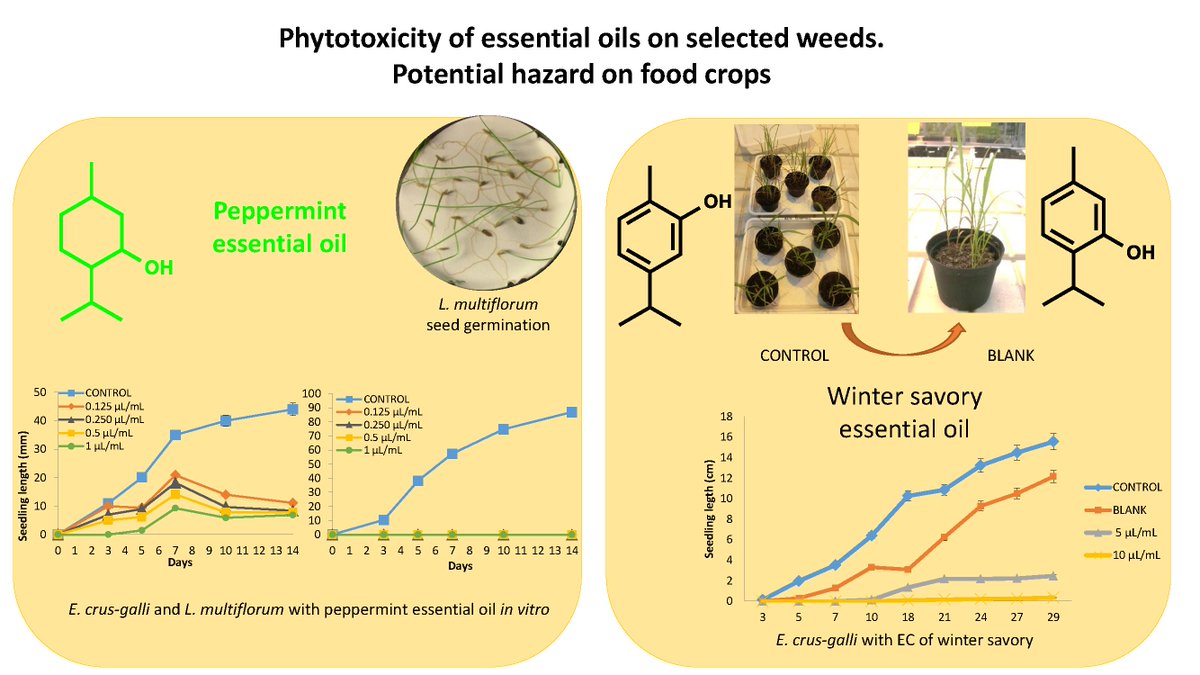 Plants_MDPI's tweet photo. #Plants Phytotoxicity of Essential Oils on Selected Weeds: Potential Hazard on Food Crops https://t.co/Vj6EyIJRgM  @Plants_MDPI @MDPIOpenAccess https://t.co/8kg0lm9oFL