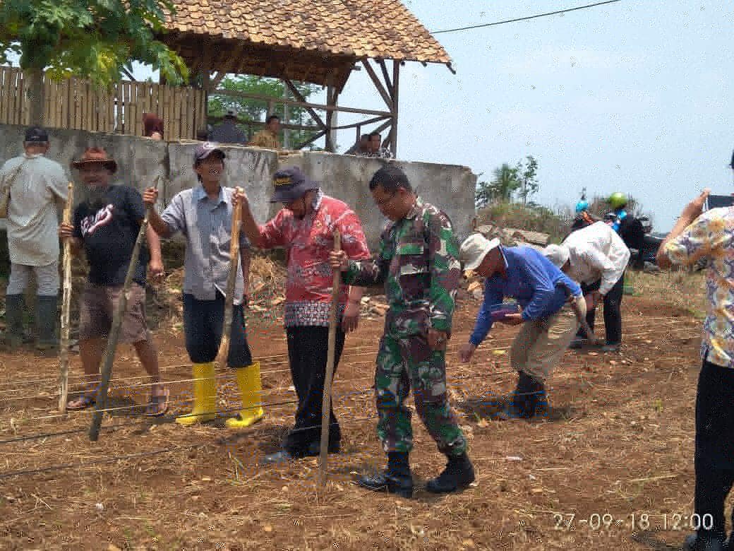 puskeswanpdg's tweet photo. Gerakan Tanam (GERTAM) dengan sistem Tumpangsari antara Jagung dengan Kedelai seluas 2,5 Ha di Desa Pasir Awi, Kecamatan Banjar by Kasi. Kelembagaan Bid. Penyuluhan #undangmulyna #gertam #tumpangsri #jagung #kedelai https://t.co/cpTyySDXaN