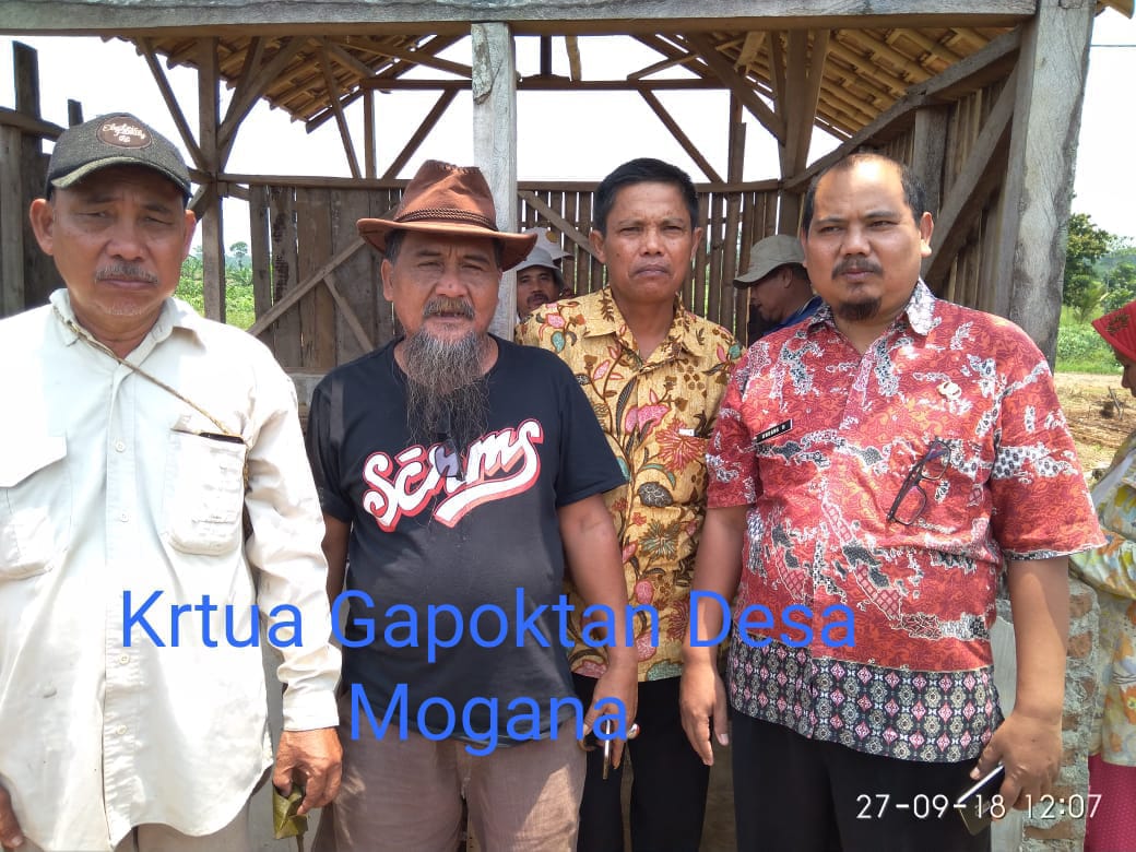 puskeswanpdg's tweet photo. Gerakan Tanam (GERTAM) dengan sistem Tumpangsari antara Jagung dengan Kedelai seluas 2,5 Ha di Desa Pasir Awi, Kecamatan Banjar by Kasi. Kelembagaan Bid. Penyuluhan #undangmulyna #gertam #tumpangsri #jagung #kedelai https://t.co/cpTyySDXaN