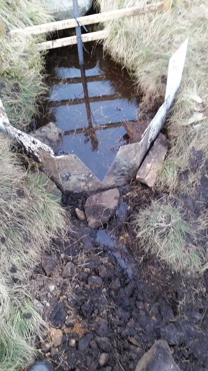 TacoRegensburg's tweet photo. Just an update from the field. Placed the first v-weir in my catchment. UNG has reveived over 100mm rain in the heavy showers of past week, but top soil remains cracked open and pipe activity is low. To be continued. #peatpipeblocking #hydrology @moorsforfuture @peakdistrict https://t.co/4HumVtfMCo