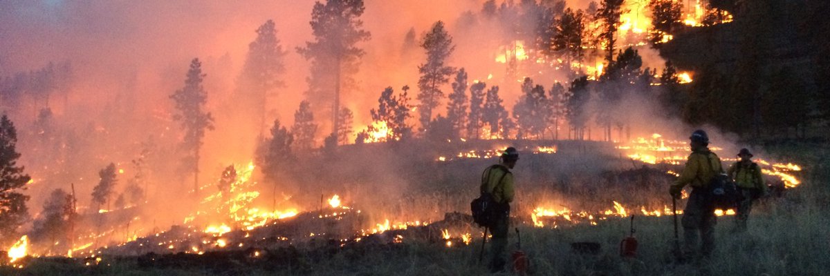Reform_Aus's tweet photo. We have heard about a plethora of dreadful, destructive natural calamities due to #GlobalWarming and #ClimateChange. Adhering the same, the frequency and duration of wildfires has increased substantially indeed. 
Visit - https://t.co/i41sQ9cxGX https://t.co/nehBYrlbCt