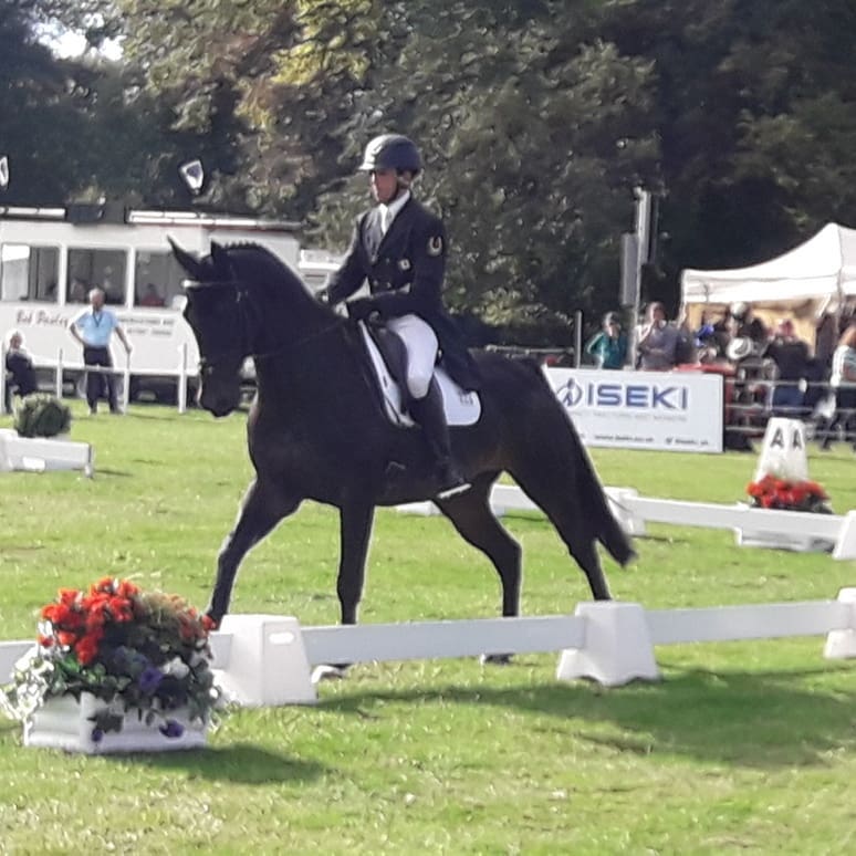 beddownbedding's tweet photo. Nice test by @wayfarerevent1 in the #CCI2* dressage phase at #OsbertonHorseTrials on the beautiful & very gorgeous gelding #Arlo
#Beddownbedding #Excel #momentumofchange #tryit #officialsponsors #247equestrian #horsehour #ponyhour #horsechathour #equinehour https://t.co/7FEBcAkrhL