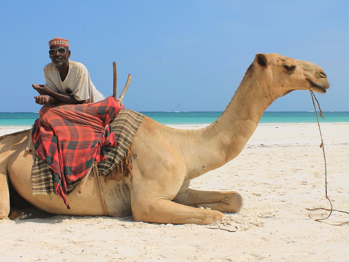 coastguidekenya's tweet photo. Kenya's coast still tops as Africa's most preferred TOURISM destination. Coastal Guide Magazine celebrates #WorldTourismDay and we are glad to be your FREE guide to Kenya's coast!   Subscribe and read: https://t.co/26XTZsTDrV
#WorldTourismDay #CoastalGuide #Travel #TravelMagazine https://t.co/qc6A6Tse7w