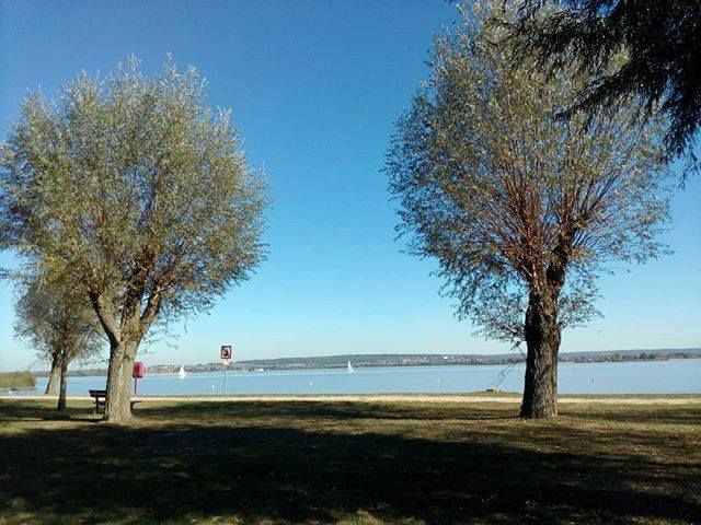 bodehase's tweet image. Das ist meine Entspannung. Meine Powerbank. Meine Quelle. #Bike2denkst #denkst #denkst18 #mitdemfahrrad #blogger #bloggerKonferenz #perFahrrad #mitdemFahrradUnterwegs #Radlhasen #denkstRadler #elternblogger #radtour #radweg #papablog #bikelover #bikelover…