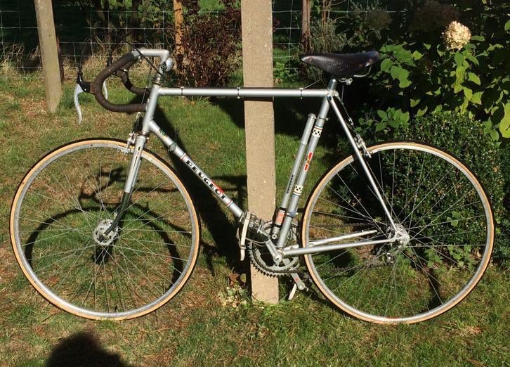 Vinanda De Vrij on Twitter: \