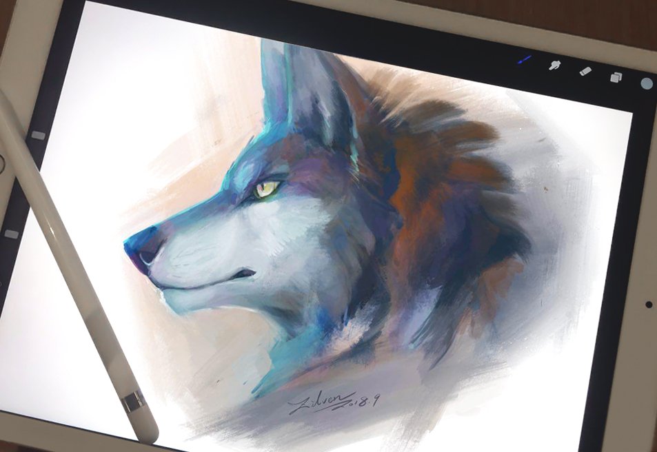 ZilvenArt's tweet image. First time drawing on friend&apos;s iPad Pro :)
#technologyisamazing