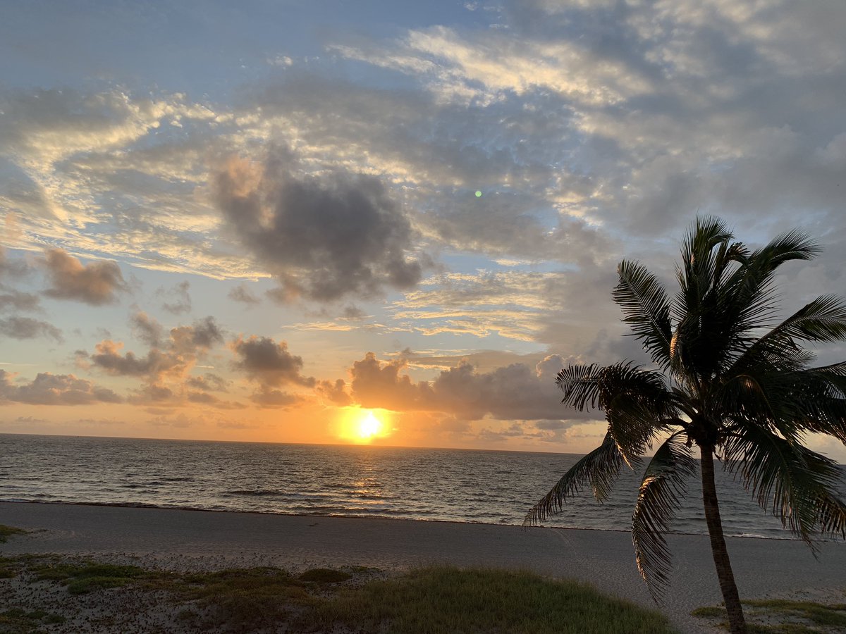 snowblindguy's tweet photo. https://t.co/BXbBL54Kow #dawningistheday #listen #Gotothesea #ThursdayMotivation #no #one #tells #the #wind #which #way #to #blow ......#peacelovedove https://t.co/7cXZcKhUGd