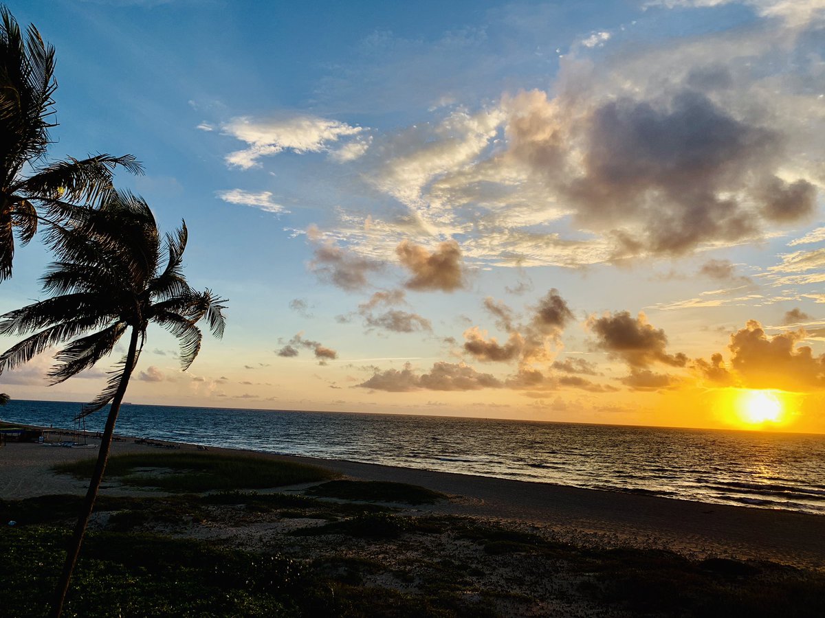 snowblindguy's tweet photo. https://t.co/BXbBL54Kow #dawningistheday #listen #Gotothesea #ThursdayMotivation #no #one #tells #the #wind #which #way #to #blow ......#peacelovedove https://t.co/7cXZcKhUGd