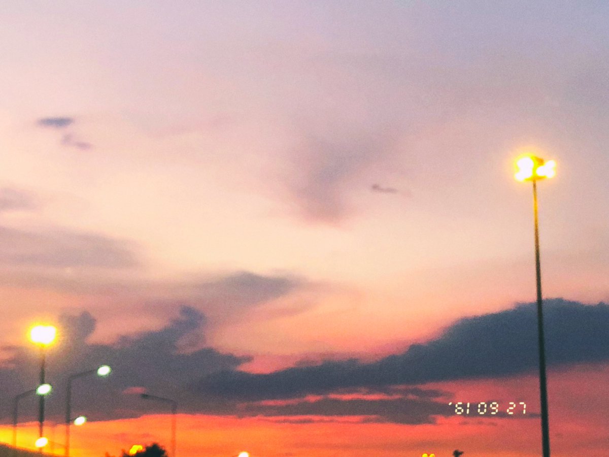 ˚˚ ༘♡🌷 babymoon 🐶🌻🍒✧︎.* tweet media