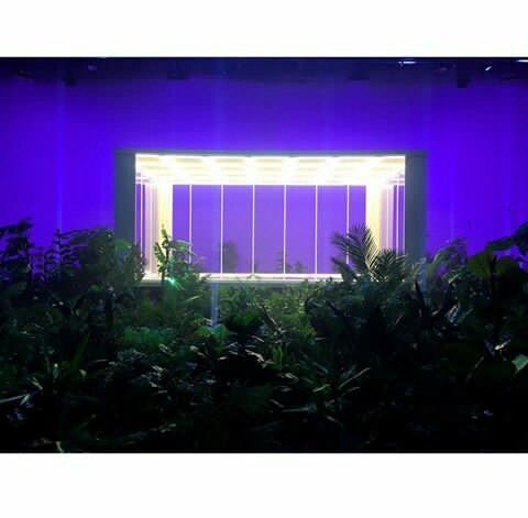 Mphi00's tweet photo. #IDOL #BTS https://t.co/xYAELJqiFo