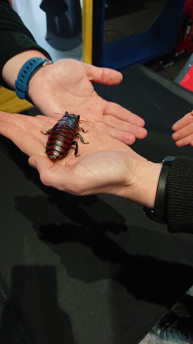scottwatson_89's tweet photo. From cockroaches to thermal imaging cameras on Day 3 of the #glasgowcrucible https://t.co/HJOWlafvxe