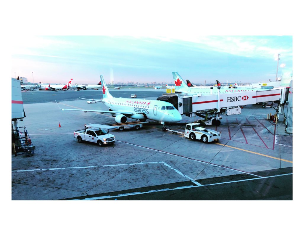 RoveenaMusic's tweet photo. YYZ ➡️ DWF
#traveltime #byetoronto https://t.co/OAeBV5YqGM