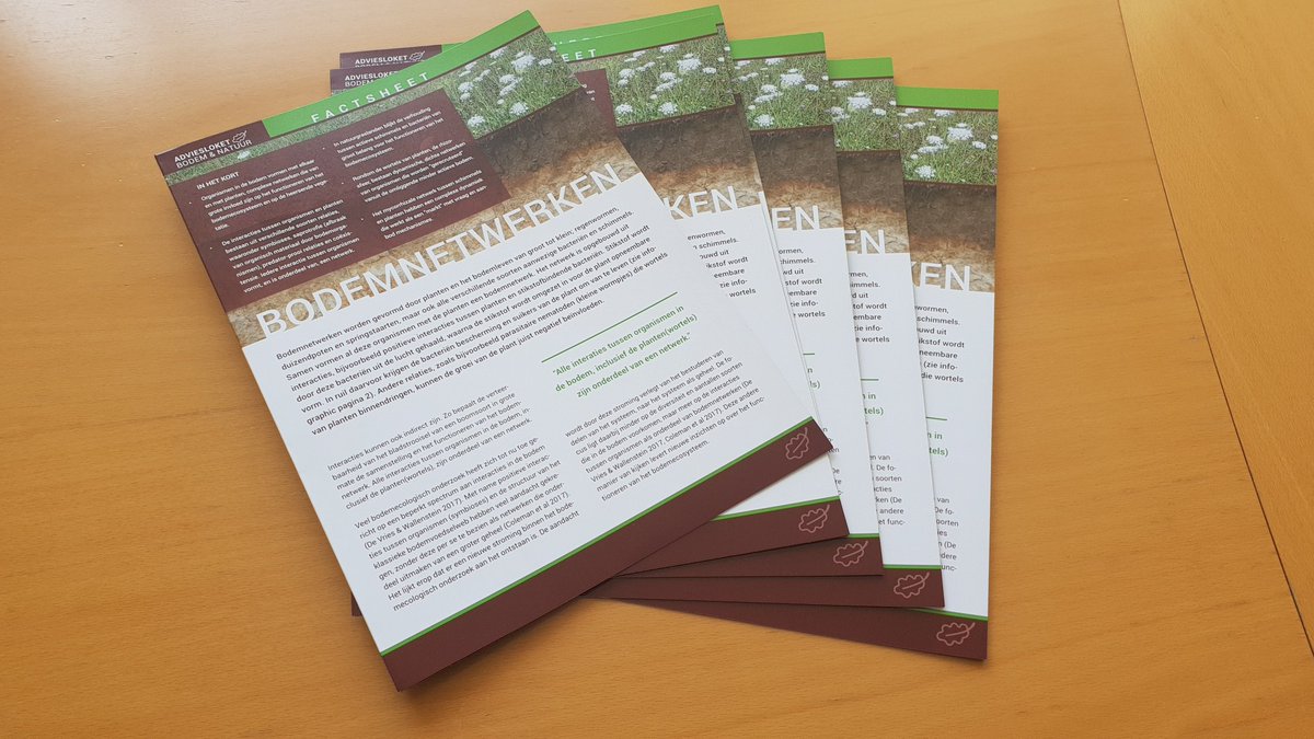 BodemEnNatuur's tweet photo. Vers van de pers, onze factsheet 'Bodemnetwerken'! Morgen op de #beheerdersdag delen we deze uit. Kom een exemplaar ophalen in de stand van partnerorganisaties @GroeiBalansTenO, Datura of @RegelinkEL! Tot morgen :)! https://t.co/m0U5RbhYUy