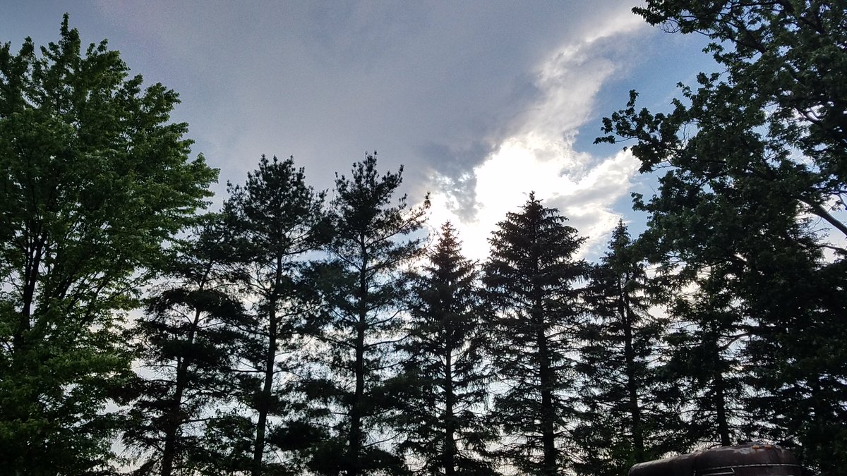 SoMediaLearnLab's tweet photo. Turn up the sound! Big sky space in this turn-of-the-century #farmhouse #forsale on Oct 14, all orig. woodwork &amp; wood floors high ceilings #farmhousestyle spectacular sunsets, https://t.co/Vpo1v7Ejkq farmhouse auction #Michigan #flickr https://t.co/wLiLkVhb7k #Michigan https://t.co/65k0eptrNL