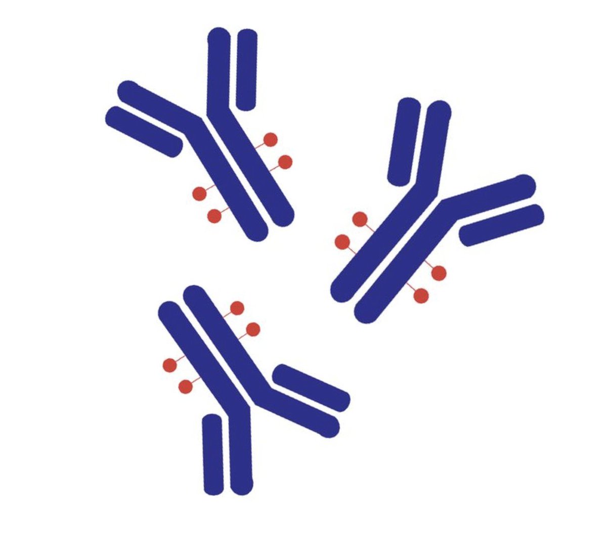 See QSC #FlowCytometry #microspheres at work for the #quantitation of #EGFR in the development of an #AntibodyDrugConjugate #ADC @CHI_Healthtech #AntibodyDiscovery forum #Cancer #immunotherapy @abbvie bit.ly/BLIquant  bit.ly/ABBV_EGFR